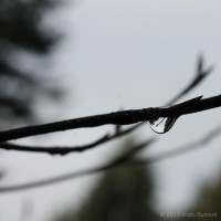 /album/galerie-photos/frida-dumont-img-4695-jpg/